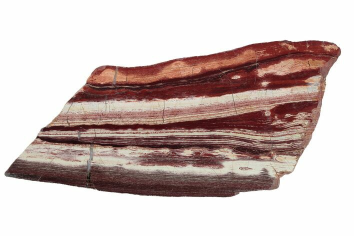 Polished Snakeskin Jasper Slab - Western Australia #221535